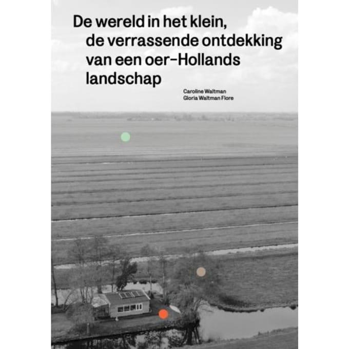De Wereld In Het Klein - Caroline Waltman