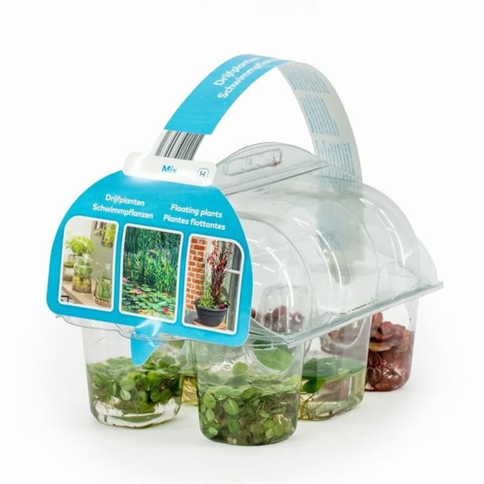 Moerings Drijfplanten | In Sixpack