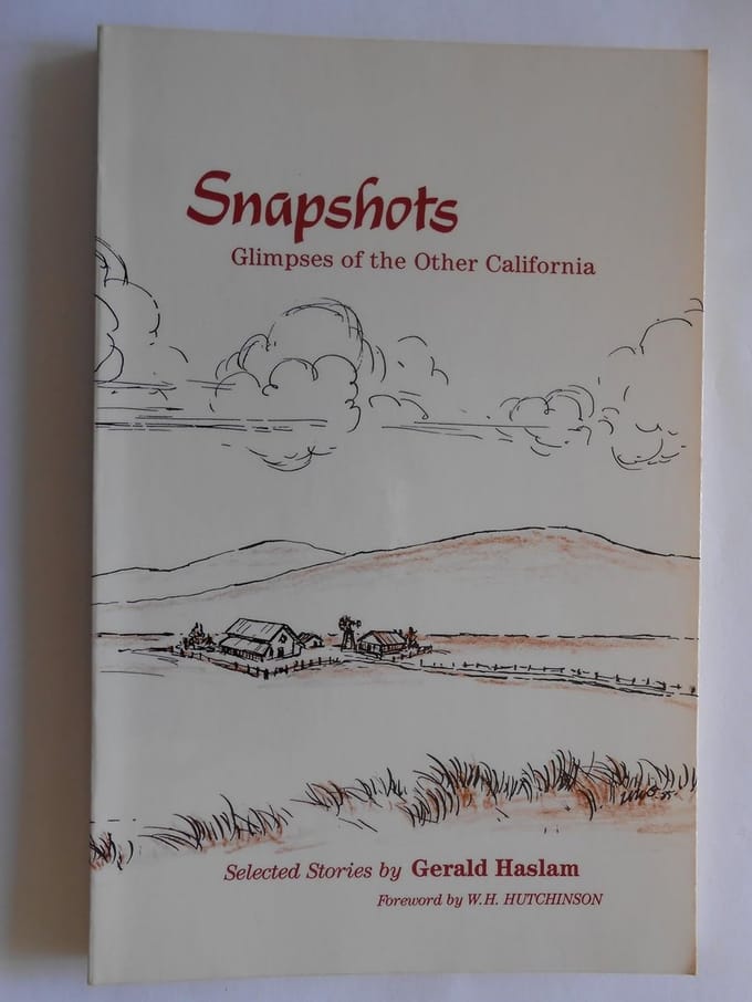 Verhalenbundel: Intieme Blikken op het Andere Californië
