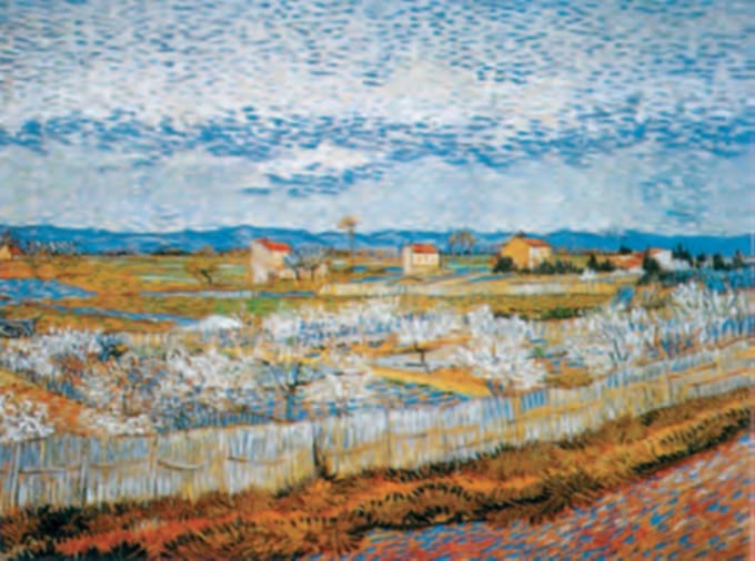 Vincent van Gogh - Perzikbloesem - Kunstposter - 40x50 cm