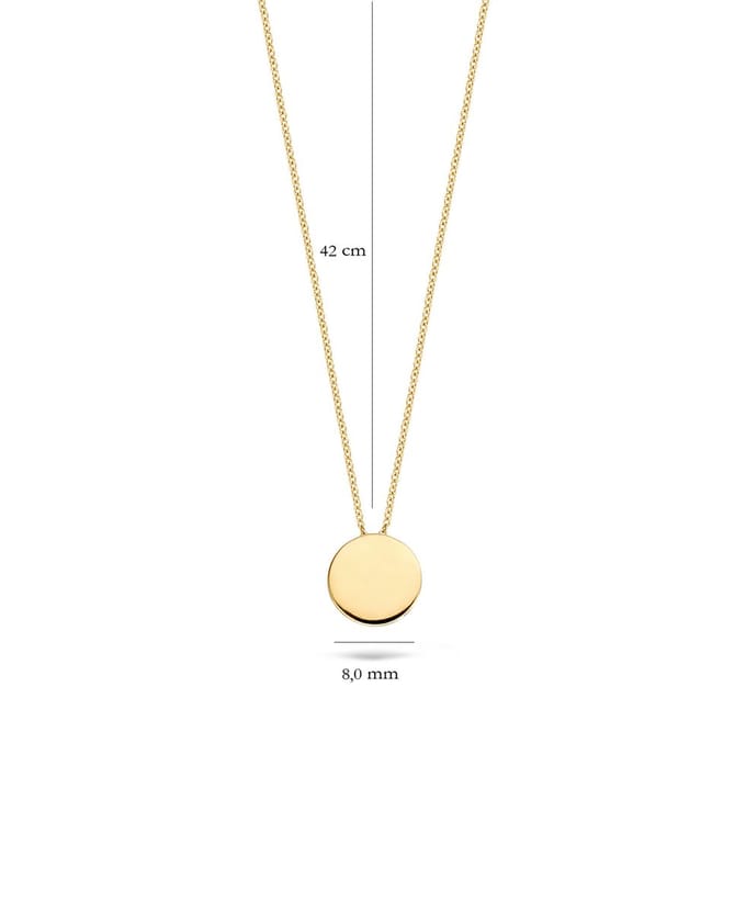 Blush Ketting Dames - Goud - 42 cm - Halsketting Dames Geen bewerking - Collier