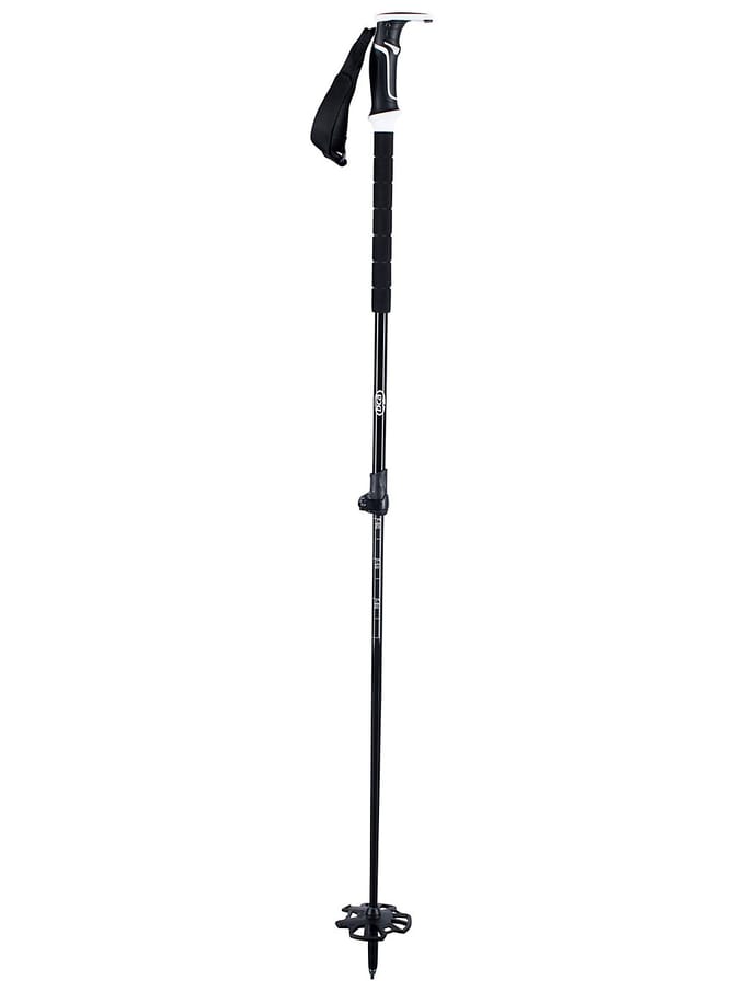 BCA Scepter Ski Stokken zwart