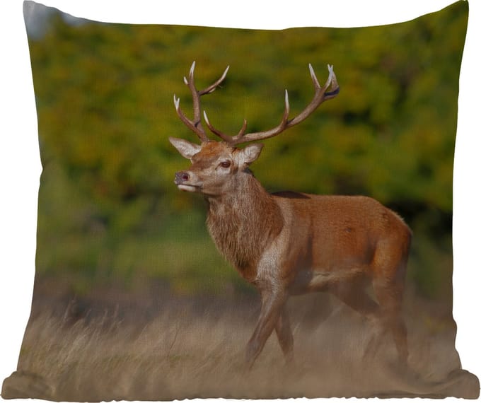 Tuinkussen - Hert - Natuur - Gewei - Bos - Dieren - 40x40 cm - Weerbestendig