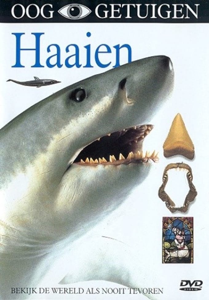 Ooggetuigen - Haaien (DVD)