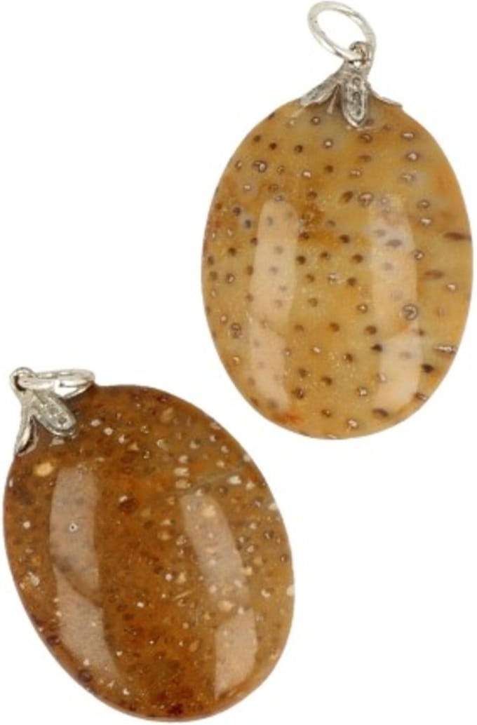Fossiele palm edelsteen hanger