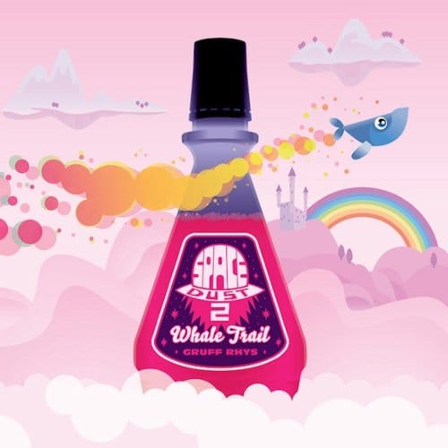 Space Dust 2 - Gruff Rhys