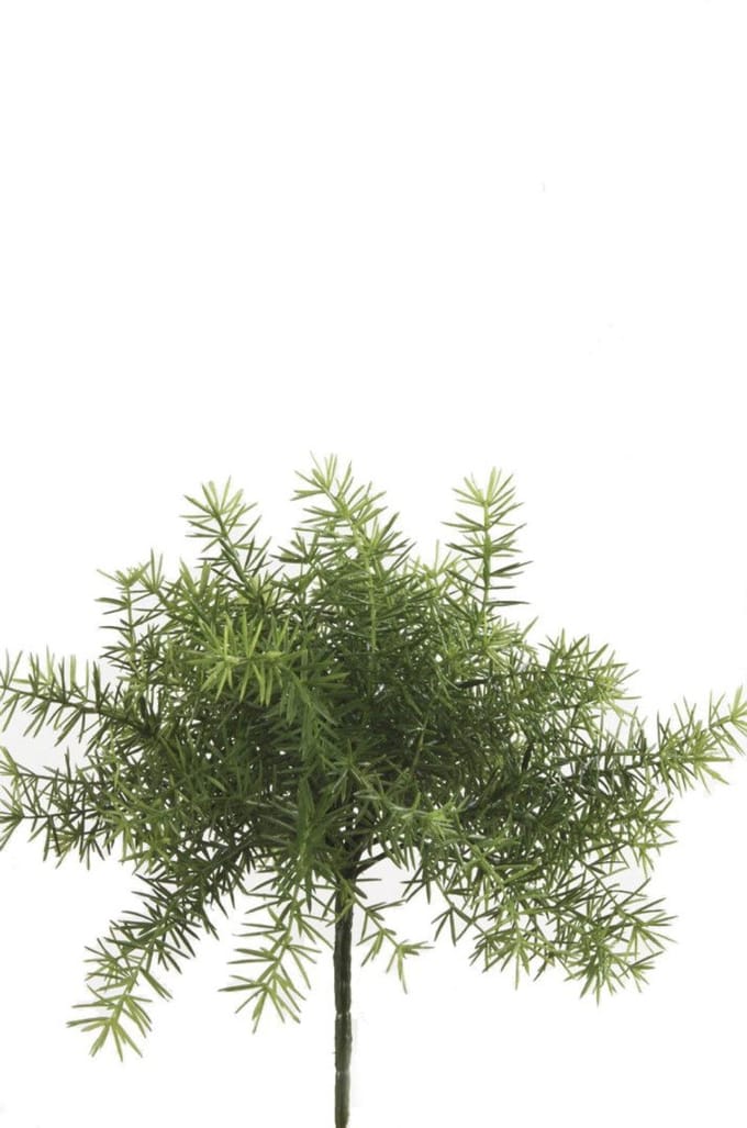Asparagus Bush Lt Green kunstplant Emerald