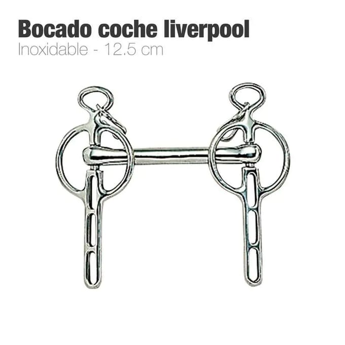 Liverpool bustrens voor paard Zaldi 212559