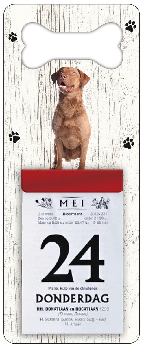 Scheurkalender 2027 Hond: Chesapeake Bay Retriever