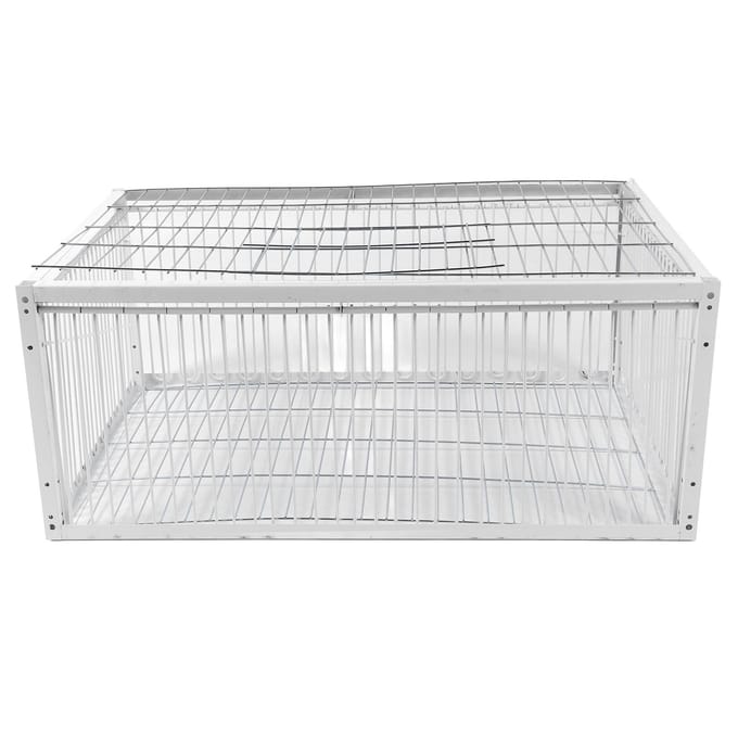 Cage Piège à Oiseaux Entrée Simple Robuste Résistant à la Rouille Polyvalent Portable Anti-Évasion Piège à Animaux M(59cm / 23.2in Long) white