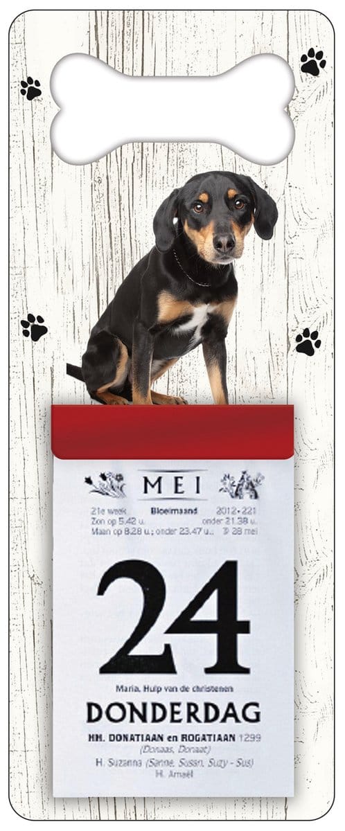 Scheurkalender 2027 Hond: Appenzeller Sennerhond