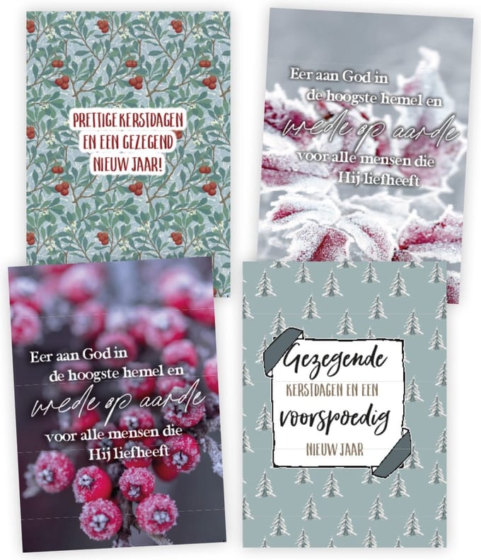 Voordeelpakje 12 kerstkaarten serie 6