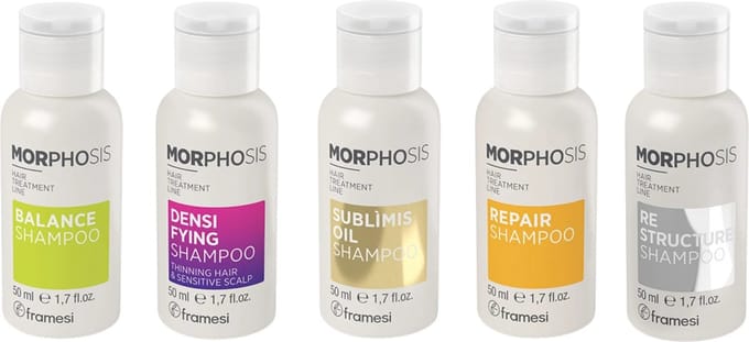FRAMESI MORPHOSE DISCOVERY SET REISFORMAAT - travel size