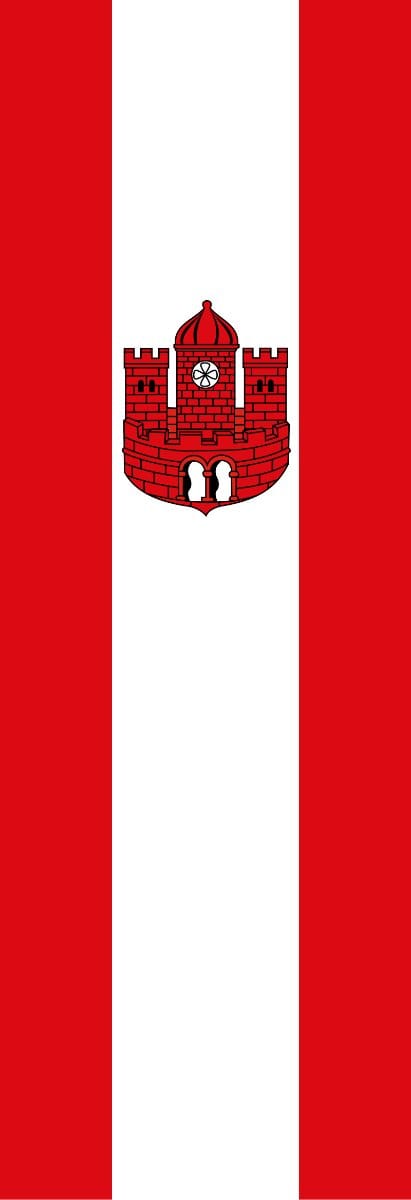 Vlag Borken 100x150cm