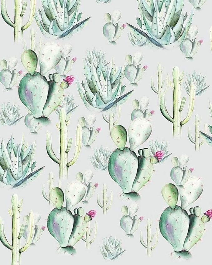 Fotobehang - Cactus Grey 200x250cm - Vliesbehang