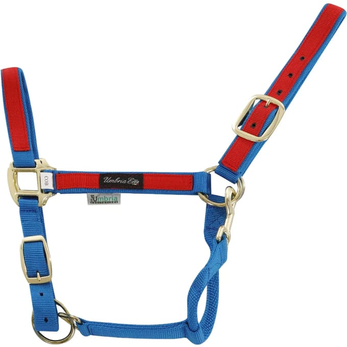 Kleurige nylon halster voor paard Umbria Equitazione