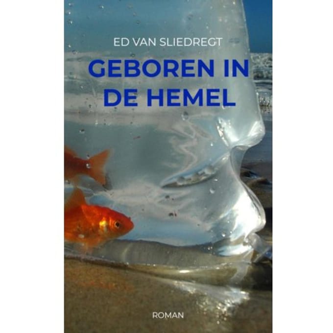 Geboren In De Hemel - Ed Van Sliedregt