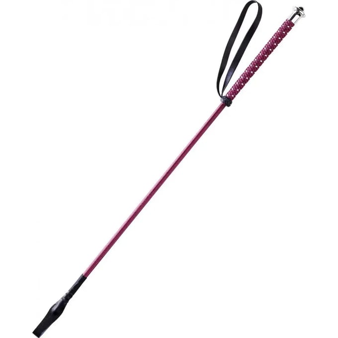 Paardrijzweep Whip & Go Points