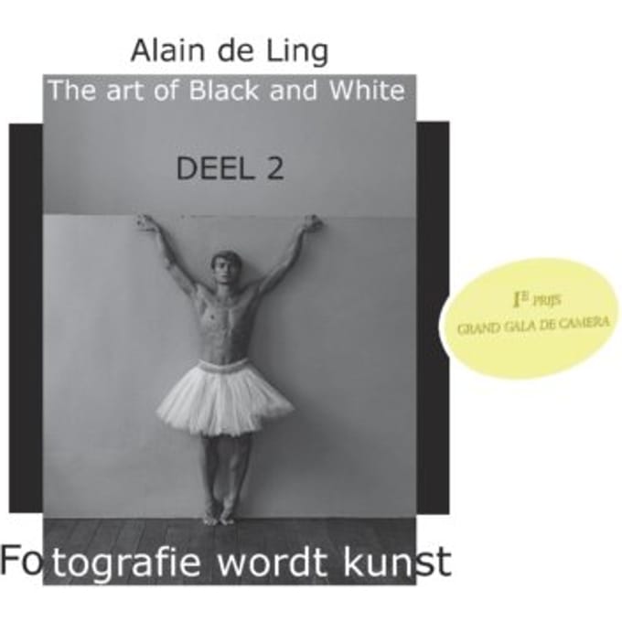 The Art Of Black And White / 2 - Alain De Ling