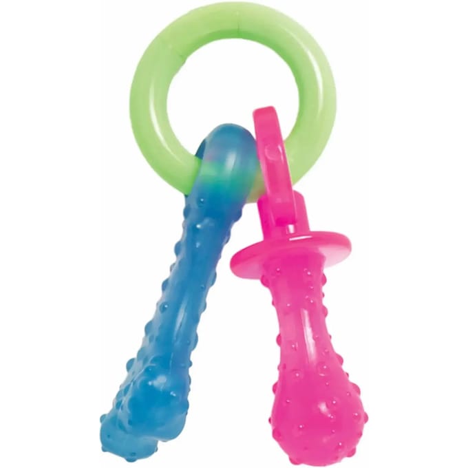 Hondenspeelgoed Nylabone Puppy Teething Pacifier - Bacon XS