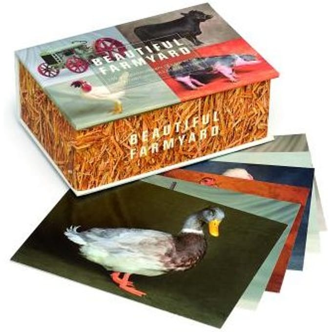 Beautiful Farmyard