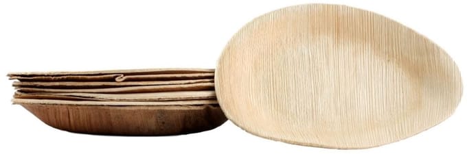50 ovale borden van palmbladeren, afmeting 21 cm