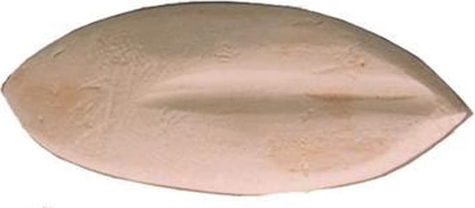 BOON Sepia - 25-30 cm - 2KG