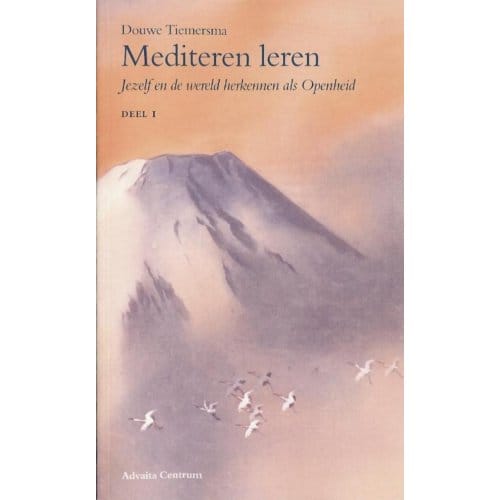 Mediteren Leren - D. Tiemersma