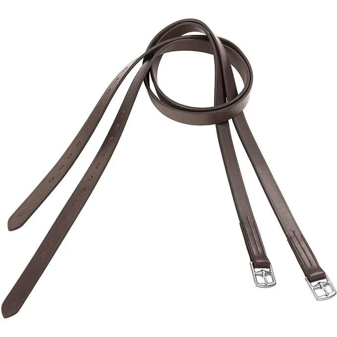 Leren singels voor paard USG Basic (x2)