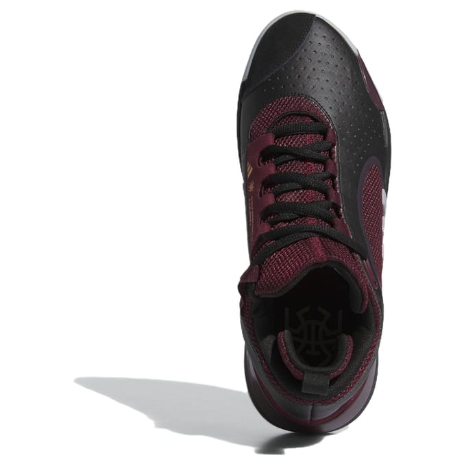 Basketbalschoenen adidas D.O.N. Issue 5
