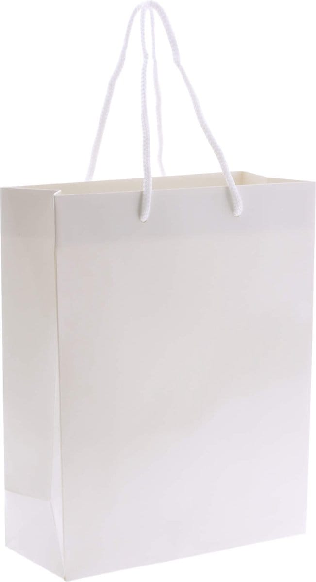 10x cadeautasjes Wit A4 - 25x11x32cm