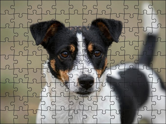 Puzzel Zwart/witte Jack Russell | 120 stukjes | Dierenpuzzel | Hondenpuzzel