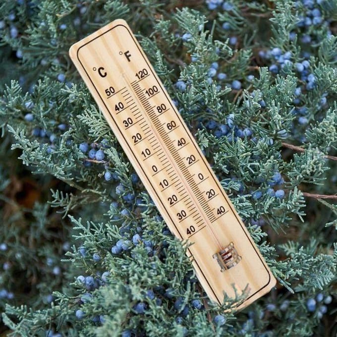 Wandthermometer - Set van 5 - Duurzaam hout - -40°C tot 50°C - 21,5 cm x 4,8 cm groen