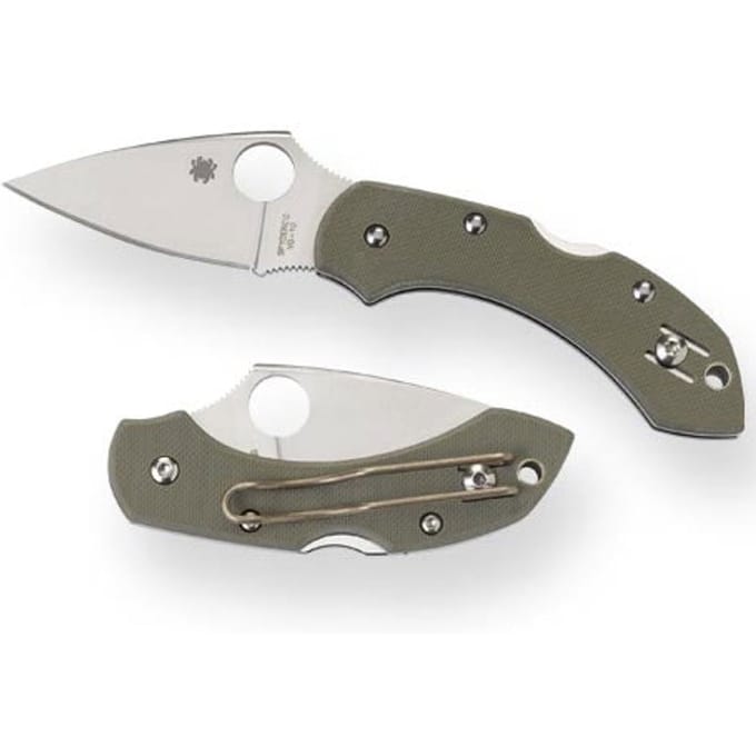 Spyderco dragonfly2 pe green