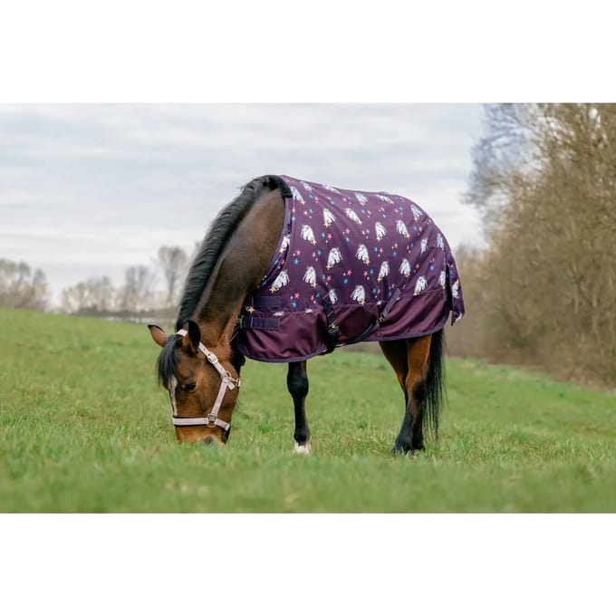 Outdoor paardendeken Equithème Licorne 600 STD 220 g