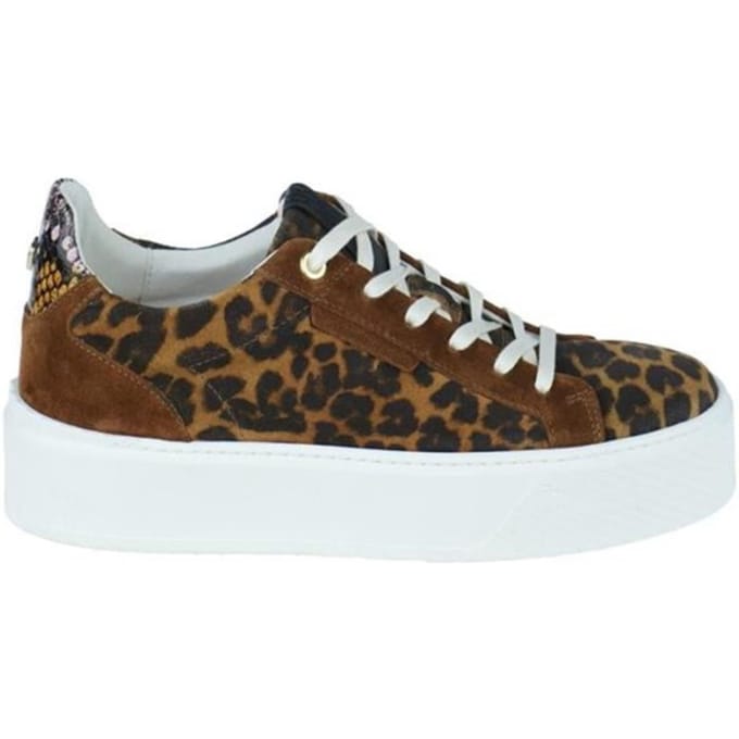 Floris van Bommel Sfw-10106