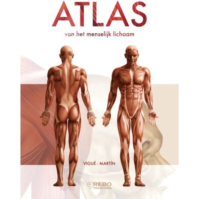 Atlas Van Het Menselijk Lichaam - Amersfoort Studio Imago