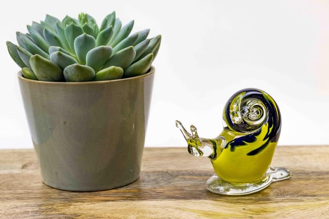 Glazen Slak Geel met Kleur L12 cm
