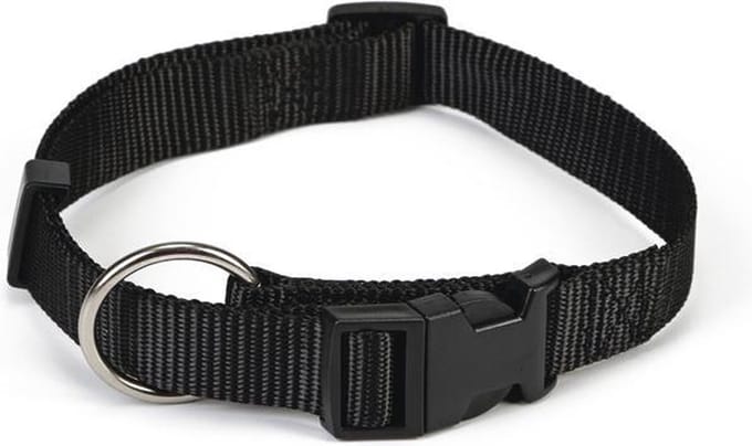 Beeztees - Halsband Hond - Nylon - Zwart - 40-65 cm x 25 mm