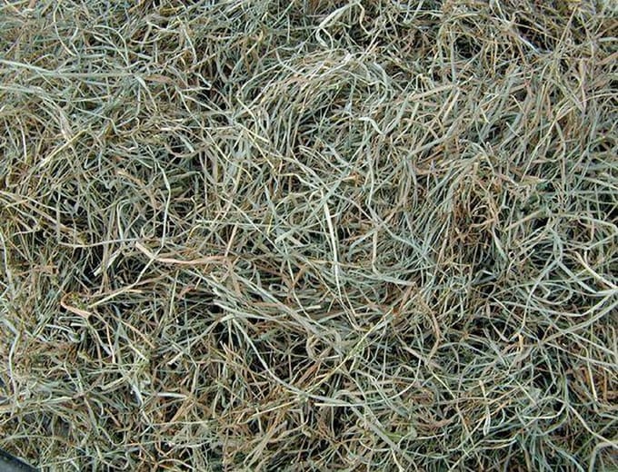 Eckhardt Kleinverpakkingen Hooi 2,5 kilo (75 liter)