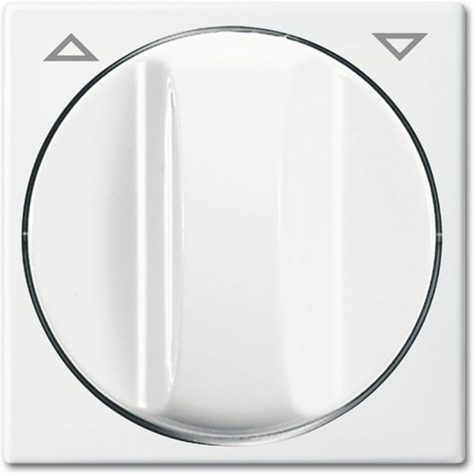 ABB Busch-Jaeger Balance SI Schakelelement/Centrale Plaat - 2CKA001753A0231 - E378Y