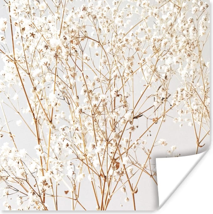 Poster Natuur - Takken - Bloemen - 75x75 cm