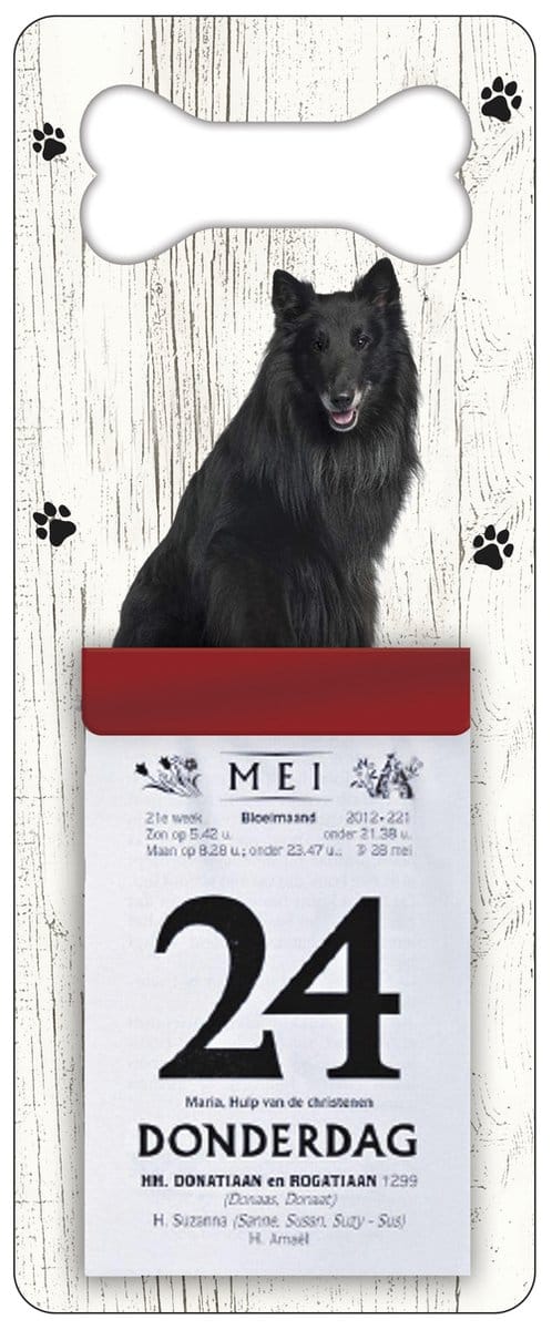Scheurkalender 2027 Hond: Groenendaeler