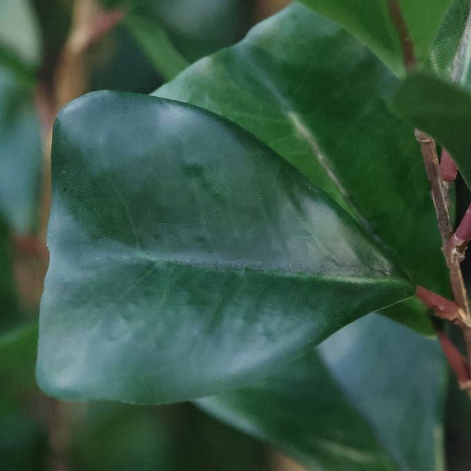 Ficus Triangularis Kunstplant 120cm
