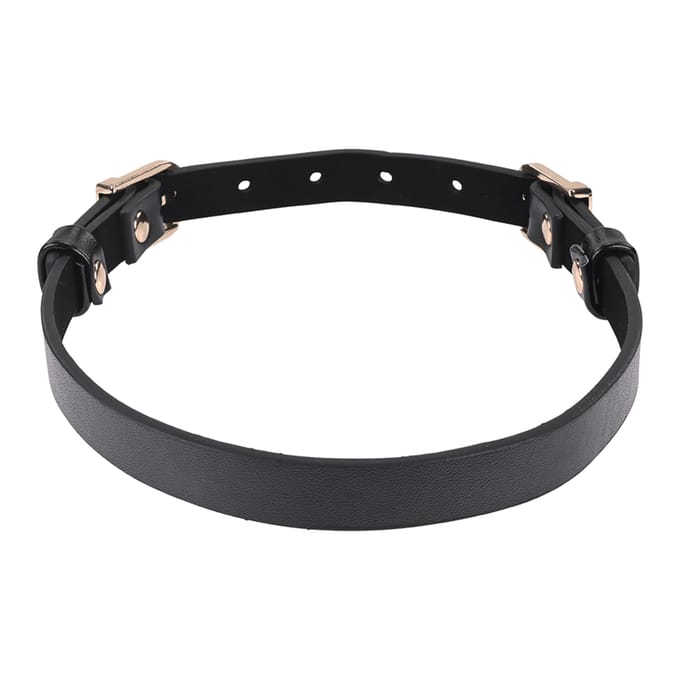 'Sex and Mischief - Double Buckle Day Collar'