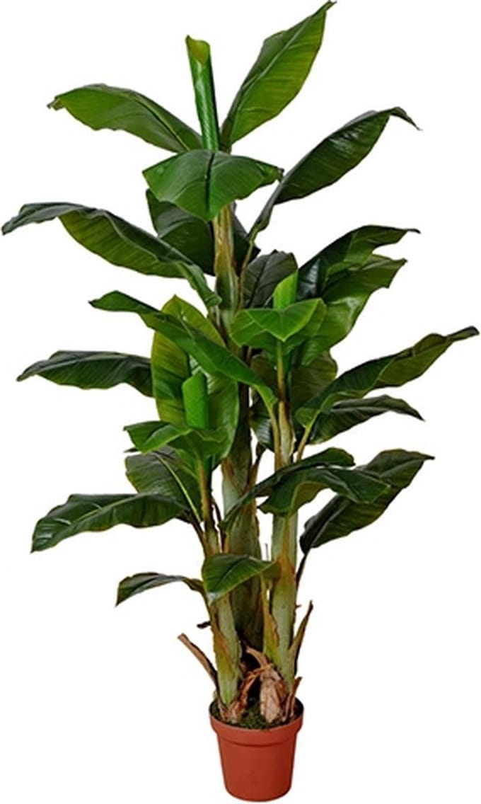 Kunst Bananenboom - 170 cm