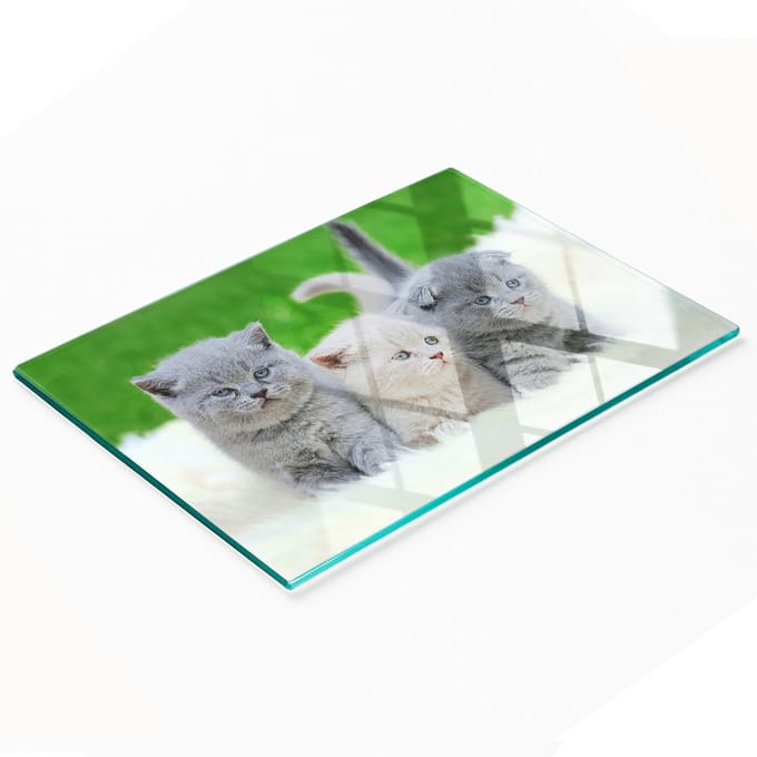 Glazen snijplank met afbeelding van drie katten (deken) 80x52 cm