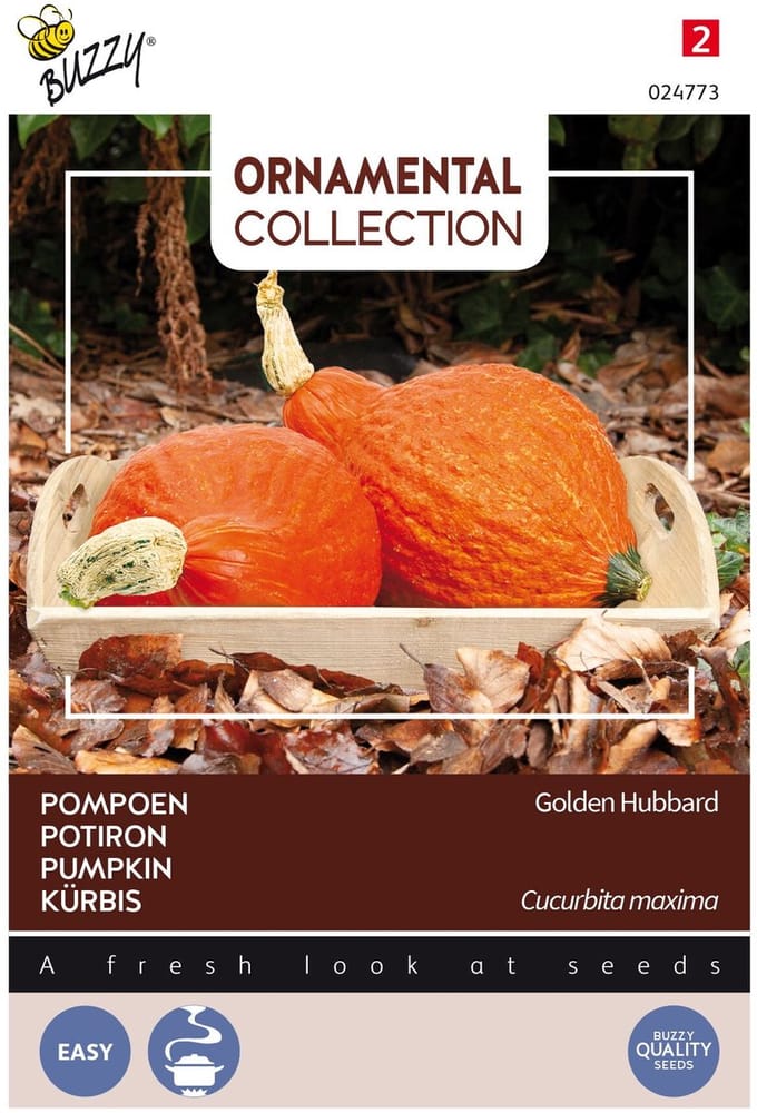 Buzzy Ornamental Pompoen Golden Hubbard