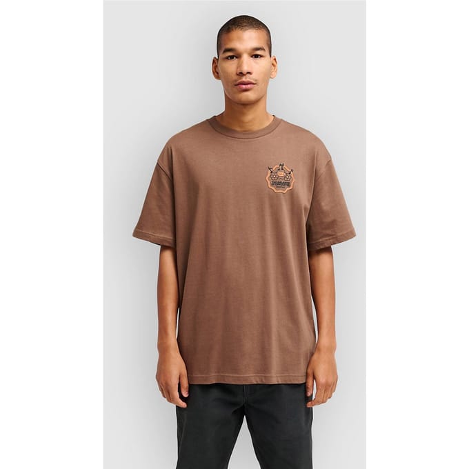 RVCA The Temperance T-Shirt bruin