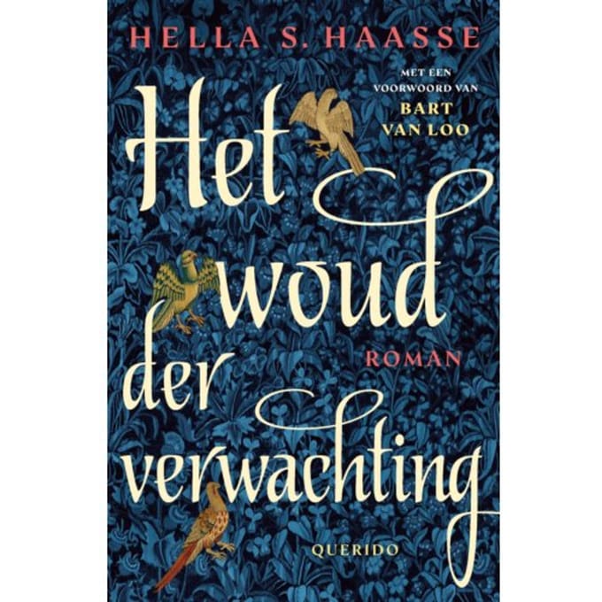 Het Woud Der Verwachting - Hella S. Haasse
